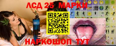 амф Заволжье