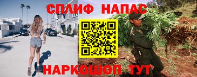 скорость Заводоуковск