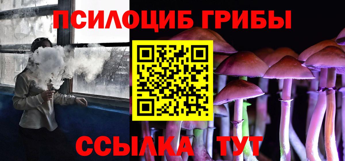 Псилоцибиновые грибы прущие грибы  Вход с VPN  Галлюциногенные грибы Psilocybe  Курганинск 